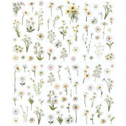 Naklejka (nalepka) Craft-Fun Series Stokrotki foliowe Titanum (25MD004) Titanum