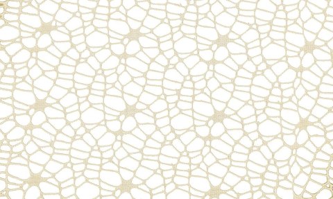 Ozdoba materiałowa Craft-Fun Series siatka koronkowa kremowa Titanum (25CR0331-16) Titanum