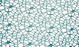 Ozdoba materiałowa Craft-Fun Series siatka koronkowa turkusowa Titanum (25CR0331-21) Titanum