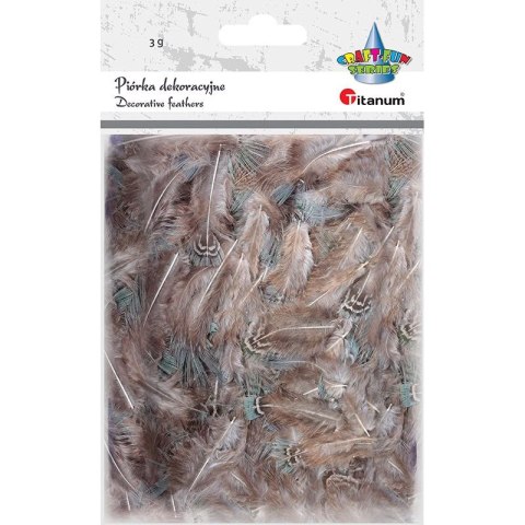 Piórka Craft-Fun Series 3g brązowy Titanum (A19HT018) Titanum