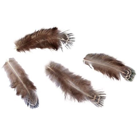 Piórka Craft-Fun Series 3g brązowy Titanum (A19HT018) Titanum