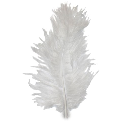 Piórka Craft-Fun Series białe 50 szt Titanum Titanum