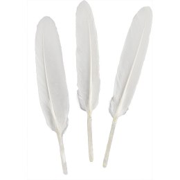 Piórka Craft-Fun Series białe 50 szt Titanum (lotki) Titanum