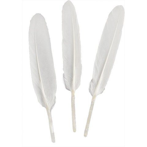 Piórka Craft-Fun Series białe 50 szt Titanum (lotki) Titanum