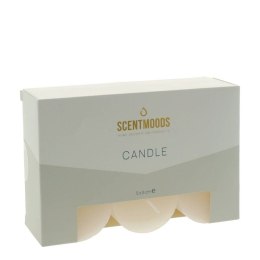 Świeca pieńkowa 5x5cm 6szt., w kolorze Ivory [mm:] 50 śr. 50mm Pavoncella (8720935400851) Pavoncella