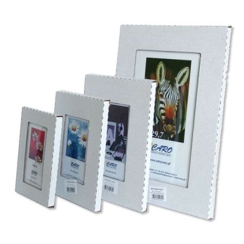 Antyrama plexi plexi [mm:] 400x500 Raw-West Raw-West