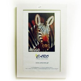 Antyrama plexi plexi [mm:] 400x600 Raw-West Raw-West