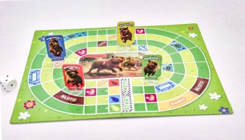 Gra planszowa Kapibary na Start Alexander Alexander