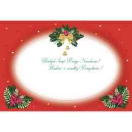 Kartka składana BN z zawieszka WIANEK B6 Henry (5905701483495) Henry