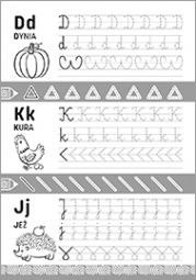 Książeczka edukacyjna Szlaczki i literki 4-6 lat Literka Literka