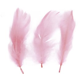 Piórka Craft-Fun Series różowy pastelowy Titanum Titanum
