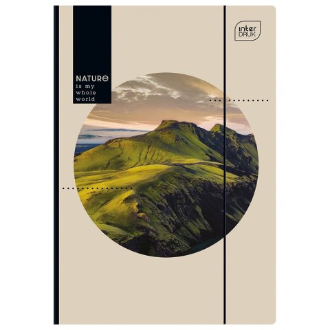 Teczka kartonowa na gumkę Pingwiny Z Madagaskaru A4 Interdruk (TEGUFL215) Interdruk