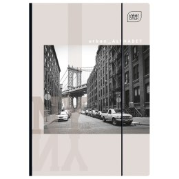 Teczka kartonowa na gumkę Pingwiny Z Madagaskaru A4 Interdruk (TEGUFL215) Interdruk