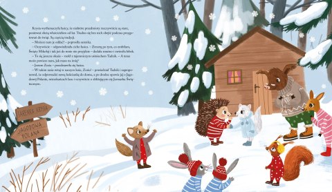 Książka dla dzieci Zimowa zagadka jeżyka Tadzika Aksjomat Aksjomat