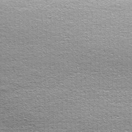 Papier ozdobny (wizytówkowy) Żeberkowy A4 biały 100g Protos Protos