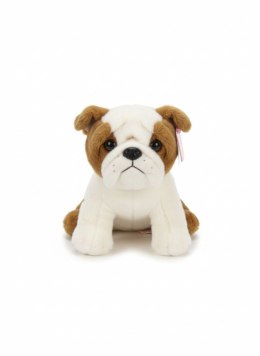 Pluszak pies Buldog [mm:] 300 Anek (84404BU) Anek