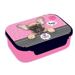 Śniadaniówka The Sweet Pets PIES [mm:] 180x140x 60 Beniamin (609480) Beniamin