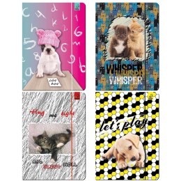 Teczka kartonowa na gumkę A4 Best Friend zwierzaki mix A4 mix Ev-corp (TA4BF2) Ev-corp