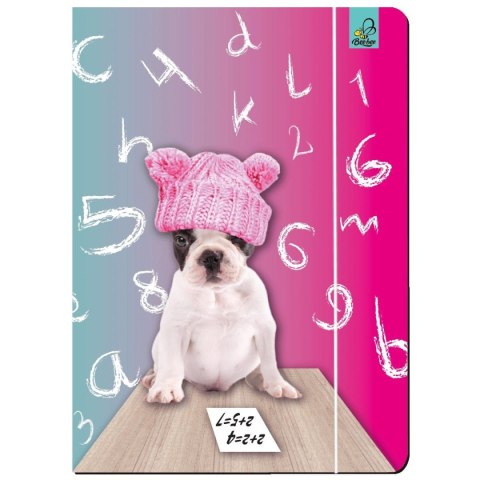 Teczka kartonowa na gumkę A4 Best Friend zwierzaki mix A4 mix Ev-corp (TA4BF2) Ev-corp