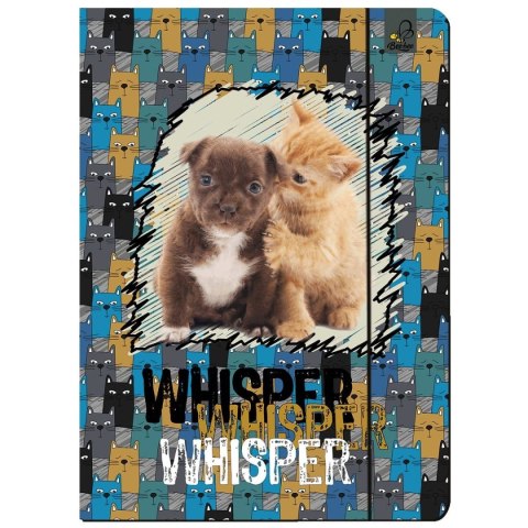 Teczka kartonowa na gumkę A4 Best Friend zwierzaki mix A4 mix Ev-corp (TA4BF2) Ev-corp