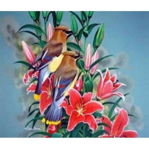 Zestaw kreatywny malowanie po numerach - ptaszki na gałązce Norimpex (NO-1005644) Norimpex