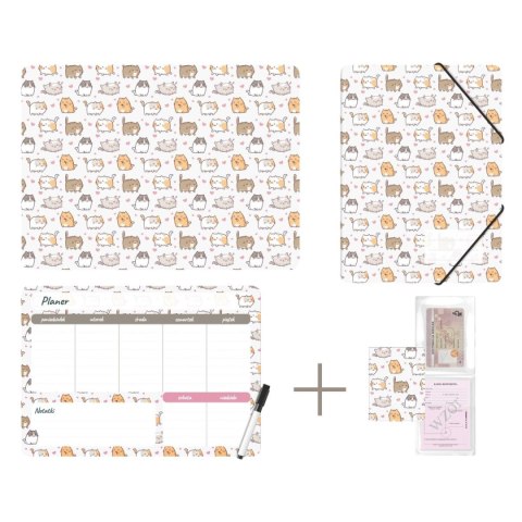 Zestaw szkolny Kittens 4 el. Biurfol (KPL-NADRUK-01-35) Biurfol