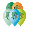 Balon gumowy Premium Hel Lets Dino Party 13 cali/5 szt. mix 13cal Godan (GS120/854) Godan