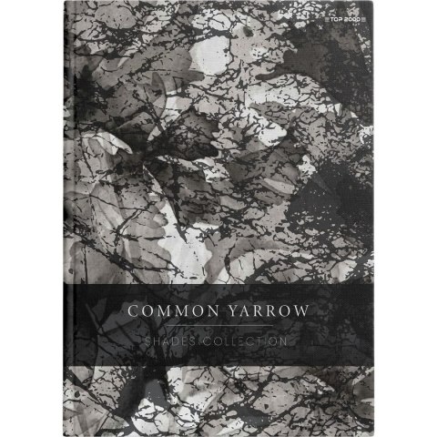 Brulion Shades A5 96k. 70g krata Top 2000 (400158936) Top 2000