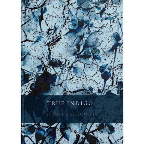 Brulion Shades A5 96k. 70g krata Top 2000 (400158936) Top 2000