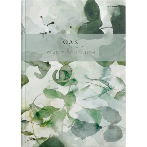 Brulion Shades A5 96k. 70g krata Top 2000 (400158936) Top 2000