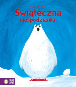 Książka dla dzieci Świąteczna niespodzianka Aksjomat Aksjomat