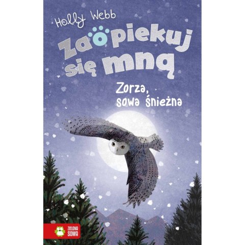 Książka dla dzieci Zorza, sowa śnieżna Zaopiekuj się mną. Aksjomat Aksjomat