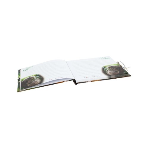 Notes (notatnik) Starpak (479586) Starpak