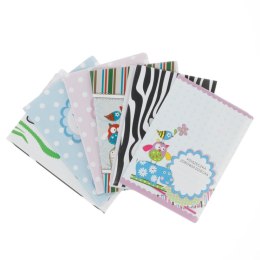 Okładka na dokumenty Książeczka Zdrowia [mm:] 145x210 Biurfol (KZ-01) Biurfol