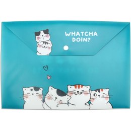 Teczka plastikowa na zatrzask A4 mix Happy Color (MG ADM929FM) Happy Color