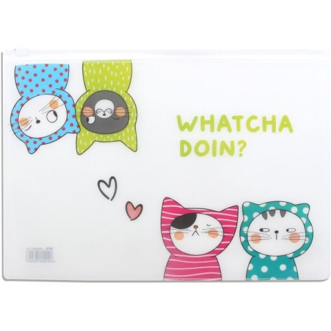 Teczka plastikowa na zatrzask A5 mix Happy Color (MG ADM929FP) Happy Color