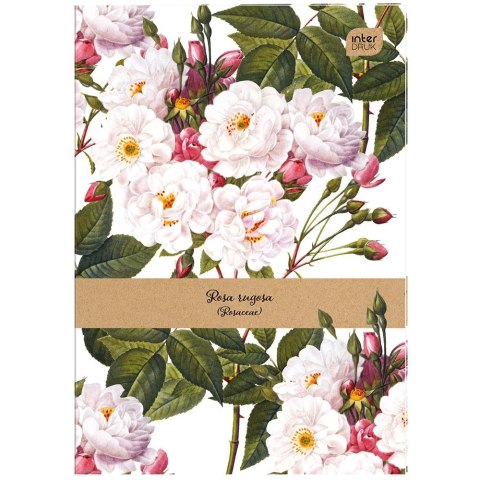 Zeszyt tematyczny A6 32k. linia Interdruk (ZES32=) Interdruk