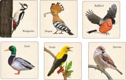 Gra pamięciowa MEMORY ptaki memory Adamigo Adamigo