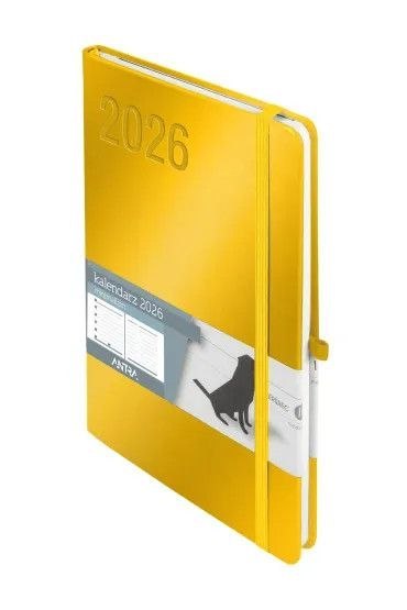 Kalendarz książkowy (terminarz) 2026 MINIMALIZM TNS A5 Antra (złoty) Antra