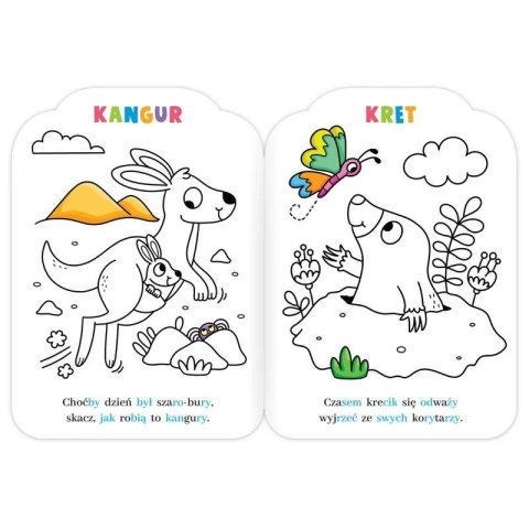 Książka dla dzieci Malowanki rymowanki z lewkiem. Czytam sylabami i koloruję Aksjomat Aksjomat