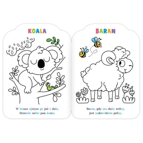 Książka dla dzieci Malowanki rymowanki z misiem. Czytam sylabami i koloruję Aksjomat Aksjomat