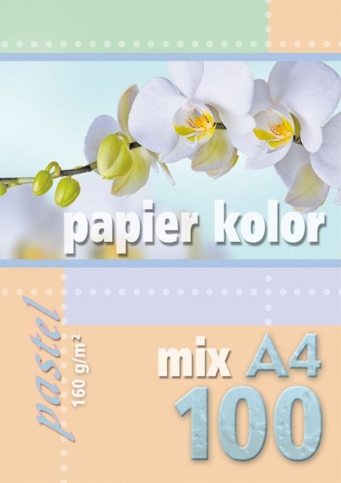 Papier kolorowy A4 mix 160g Kreska Kreska