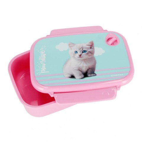 Śniadaniówka kitty Starpak (558657) Starpak