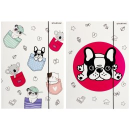 Teczka kartonowa na gumkę Minisy A4 mix Starpak (491062) Starpak