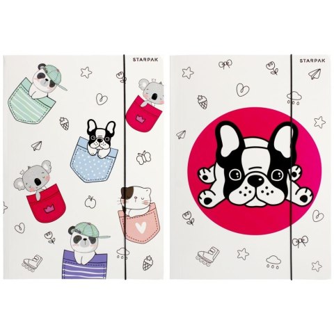 Teczka kartonowa na gumkę Minisy A4 mix Starpak (491062) Starpak