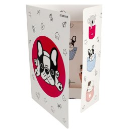 Teczka kartonowa na gumkę Minisy A4 mix Starpak (491062) Starpak