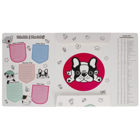 Teczka kartonowa na gumkę Minisy A4 mix Starpak (491062) Starpak