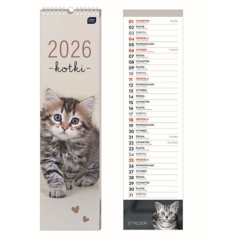 Kalendarz ścienny paskowy 135mm x 500mm Interdruk (KOTY) Interdruk