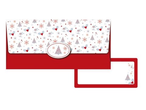 Koperta specjalnego przeznaczenia na pieniądze [mm:] 180x90 (5560092)