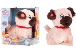 Pluszak interaktywny Puppy Luv piesek Cookie Tm Toys (DKO0105) Tm Toys